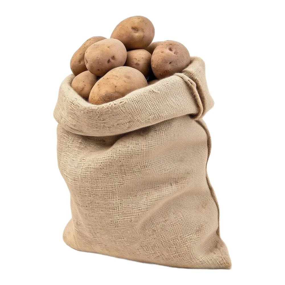 Burlap Plant Sacks 2 pcs 60 x 100 CM Eco Friendly Sackcloth for Root Development Vegetable Preservation and Play Use