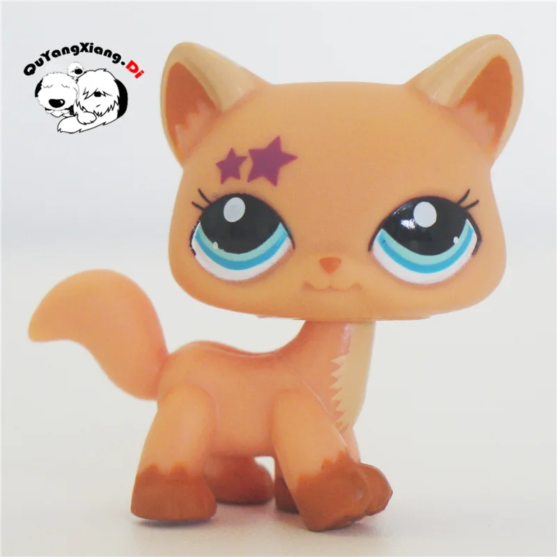 CWM064 Pet Shop Animal Five-pointed star Kitty Khaki Cat doll action Figure kitten