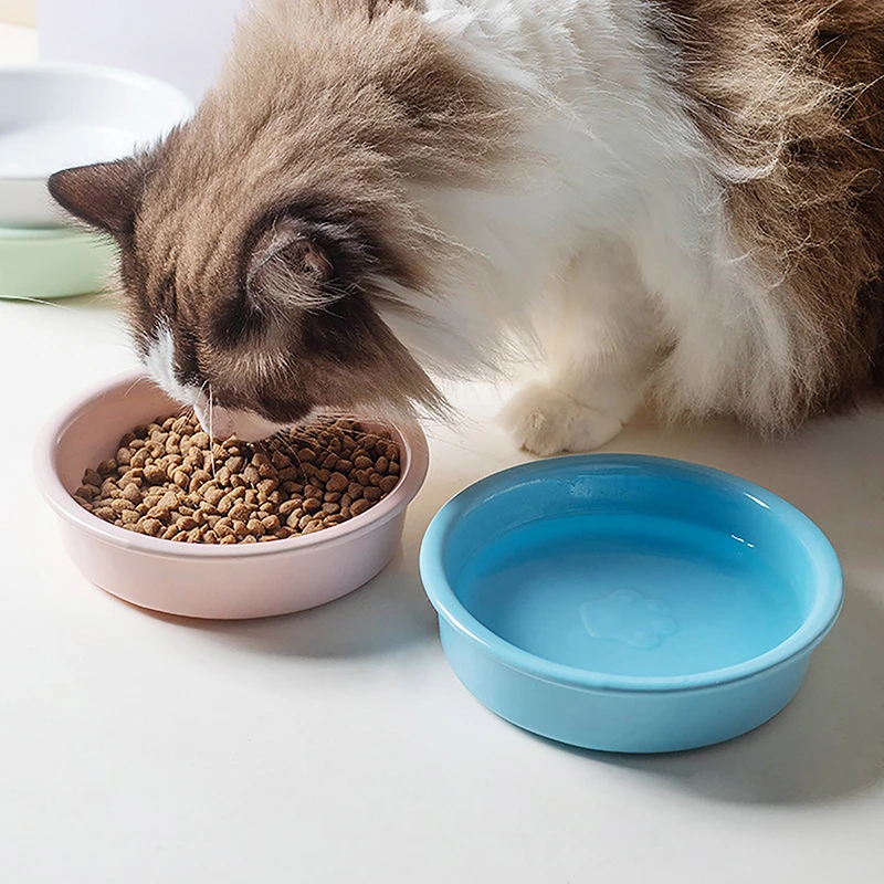 Cuenco de comida para gatos, cuencos de alimentación lenta para perros y gatos pequeños, alimentadores antiasfixia para comer mascotas, cuenco con ventosa antideslizante, suministros para mascotas