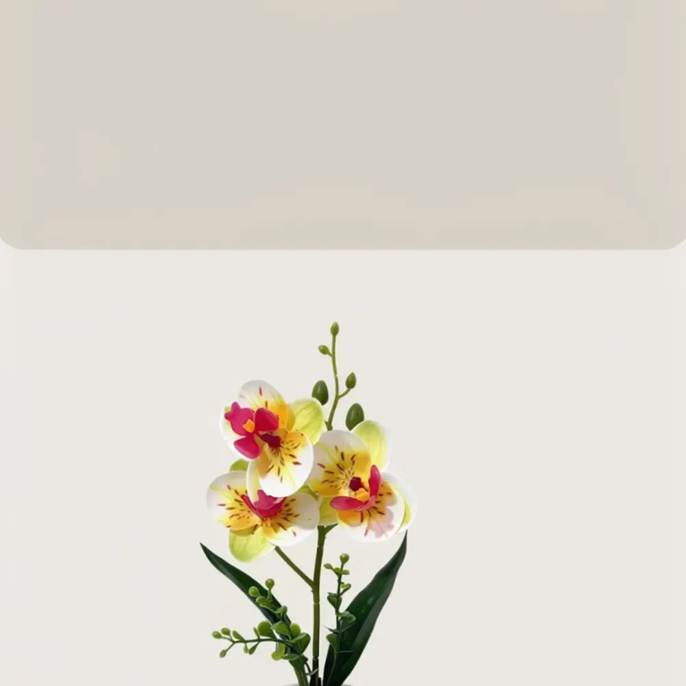 Simulation Phalaenopsis Potted Flower Realistic PVC Fake Orchid For Indoor Living Room Desk Home Table Decoration Gift