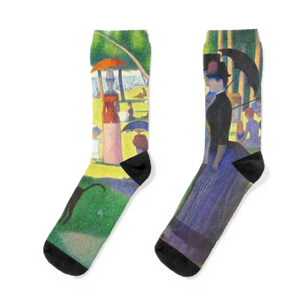 

Georges Seurat A Sunday On La Grande Jatte Socks christmas gift hiphop Men's Socks Luxury Women's