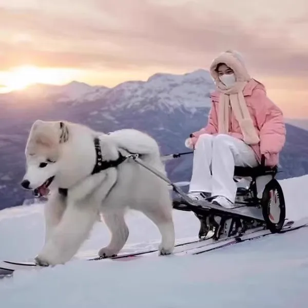 Hundeziehwagen, Hundelaufartefakt Dreirad faltbar, Alaska Deutscher Schäferhund Dobbin Akita Giant Chow Chow Wolf Dog