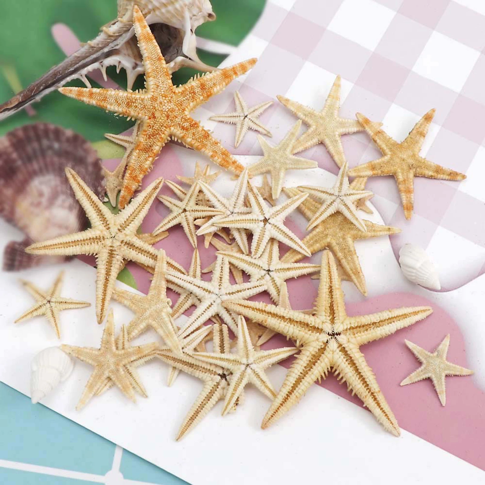 20/50/100pcs Starfish 1 Box Natural Starfish Seashell Beach Craft DIY Beach Wedding Decoration Crafts Home Decor