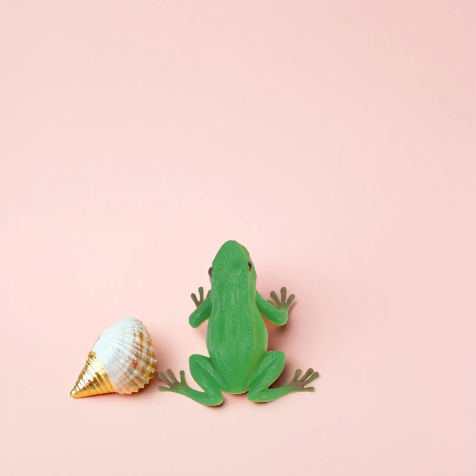 

4Pcs Sounding Frog Prank Props Plastic Sound Effect Perfect Party Prank Props for Kids Adults Toy
