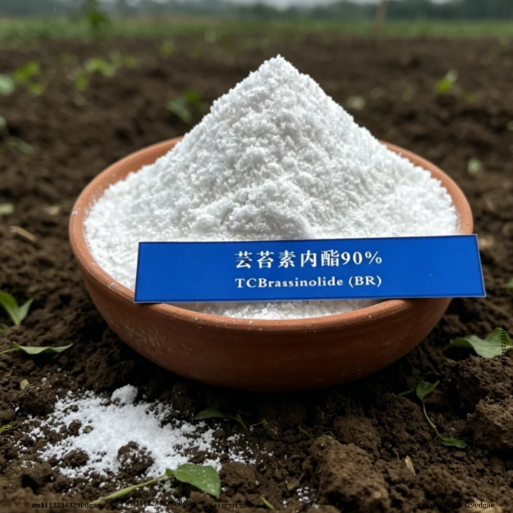 Brassinolide Plant Growth Regulator Foliar Organic Fertilizer