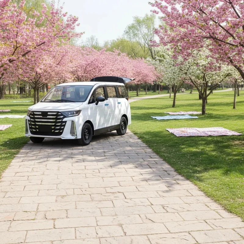 2026 China Factory Hot Sale 400km Long Range 6-Seats Car No Driving License with Spacious Trunk Family Camping