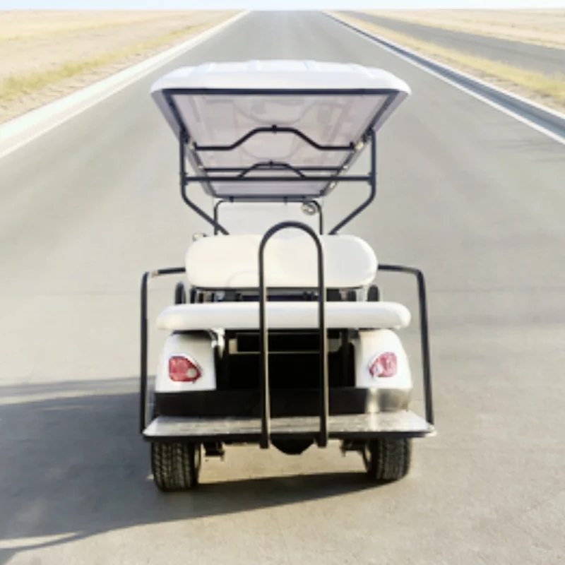 

Электрический гольф-кар для охоты с двигателем 5000 Вт, 14-дюймовыми внедорожными шинами и сиденьем с коричневой обивкой – высокая популярность