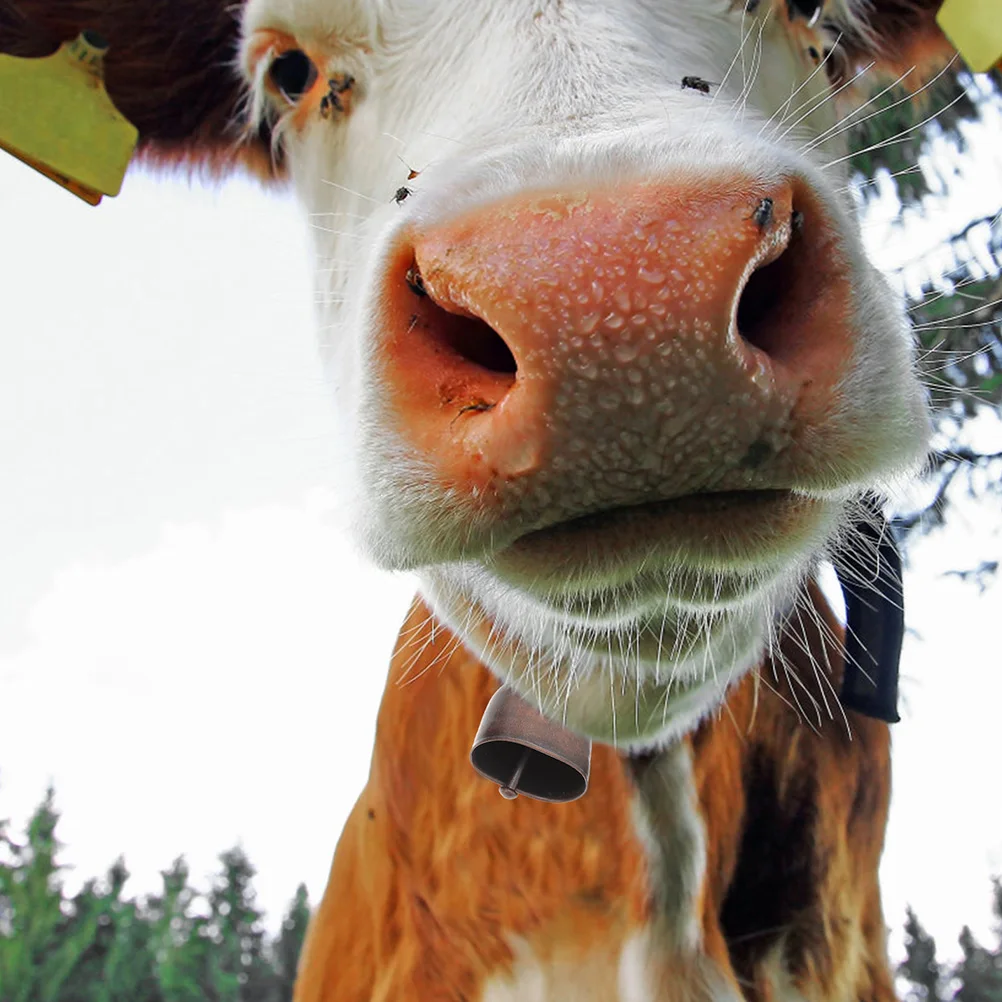 4 قطعة جرس البقرة المعدنية اكسسوارات الديكور خفيفة الوزن الحيوانات الأليفة مكافحة خسر أجراس للكلاب الماشية الأغنام الحصان الماشية معلقة الاستخدام