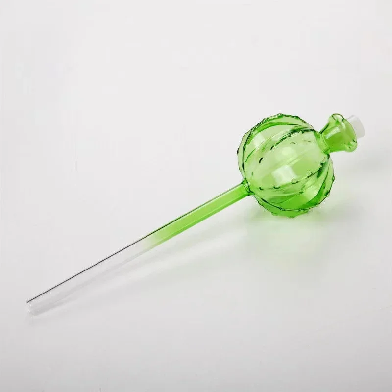 Creative Glass Plant Flowers W - Self Watering Insert recension och pris