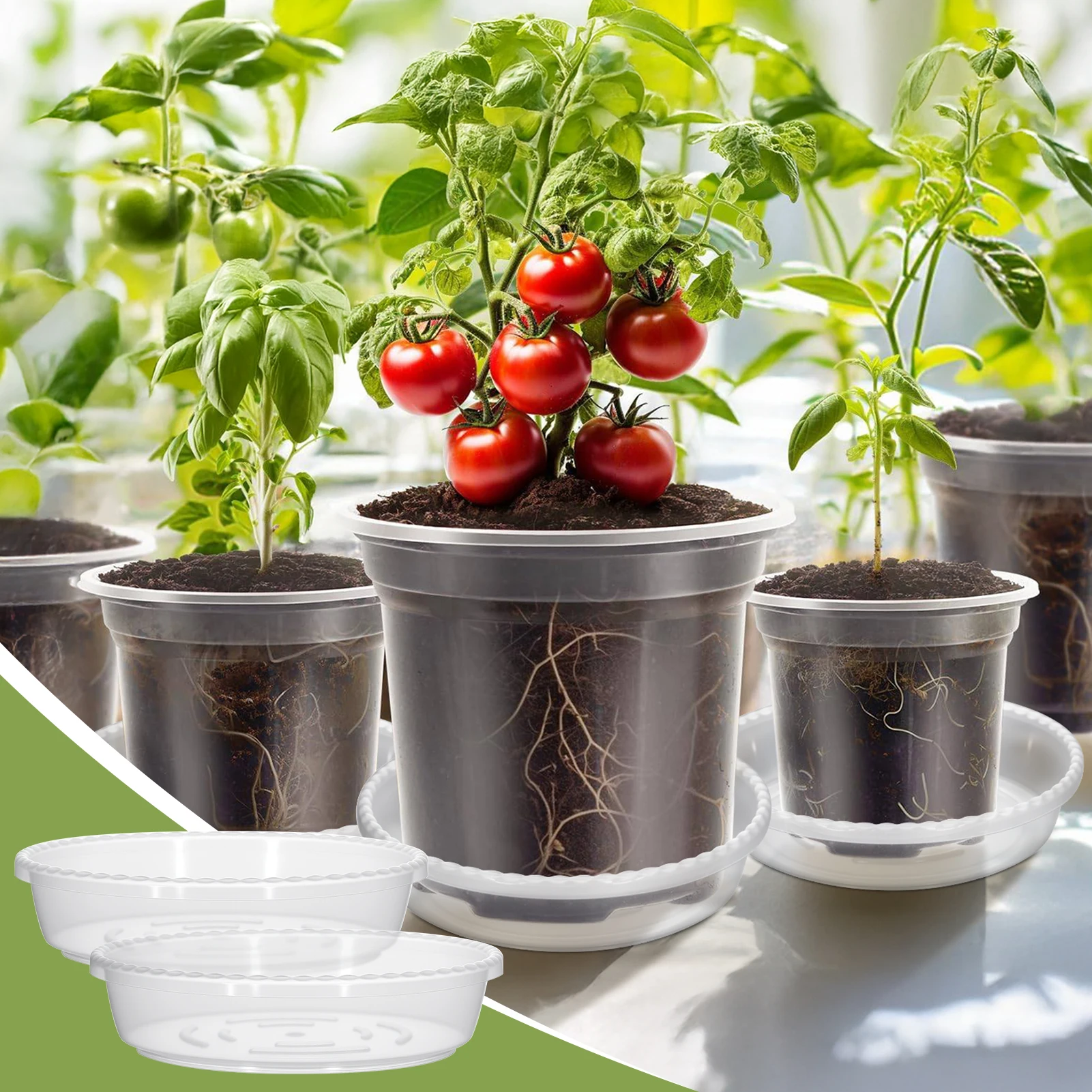 

Self-watering Flower Pot Transparent Visualization Hydroponic Vase For Succulent Plants Hyacinth Orchid Gardening Accessories