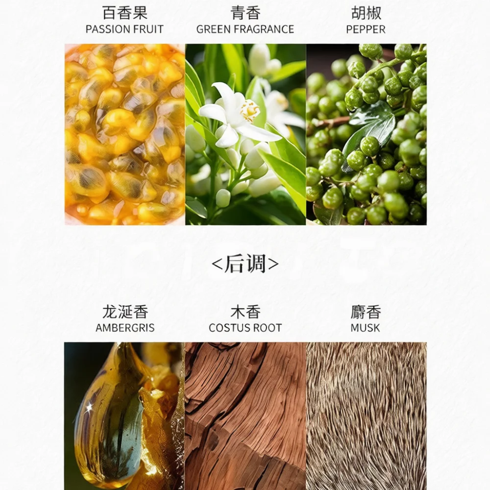น้ำหอมสำหรับผู้หญิง GECOMO กลิ - Perfume Zara บทวิจารณ์และราคา
