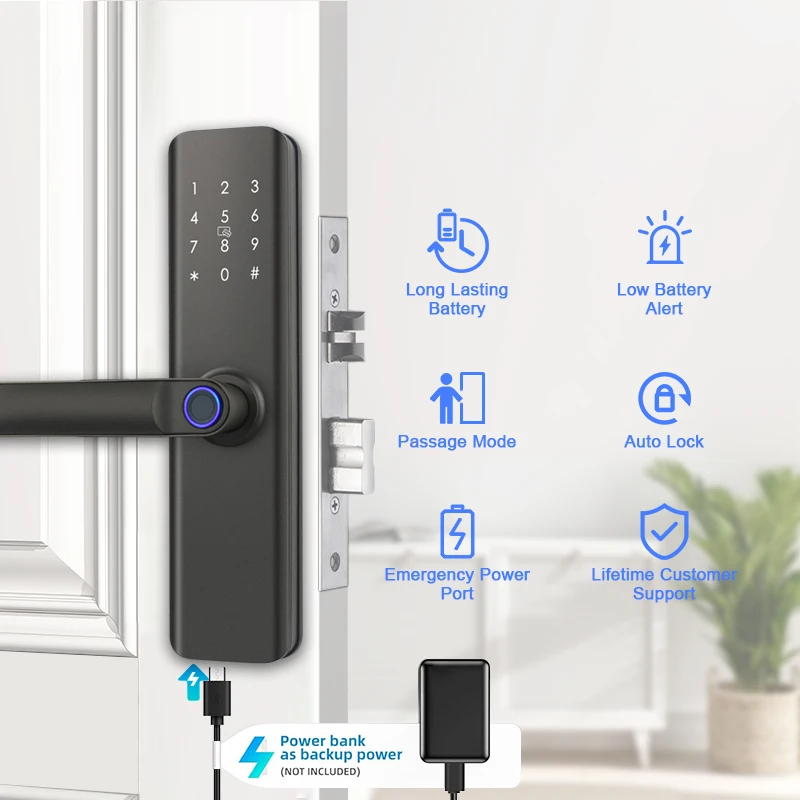 Competitive Price Electric Door Handle Lock with Key WiFi Network Push Pull & Fingerprint Mortise Lock Bedroom Door Handles