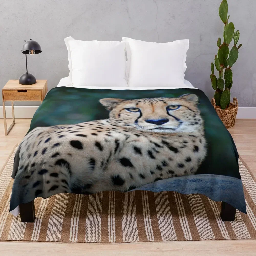 

Cheetah Throw Blanket Cute Plaid on the sofa Blankets