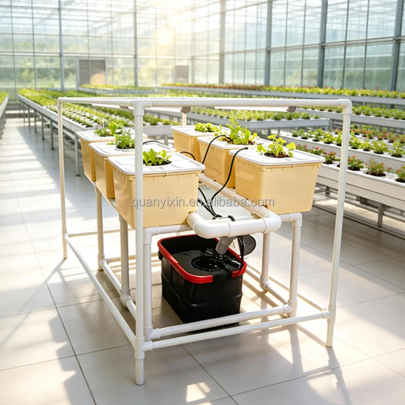Dutch Bucket Hydroponic System Kit With LED Grow Light Bato Bucket Drip Irrigation For Greenhouse Tomato Strawberry Growing - view 4