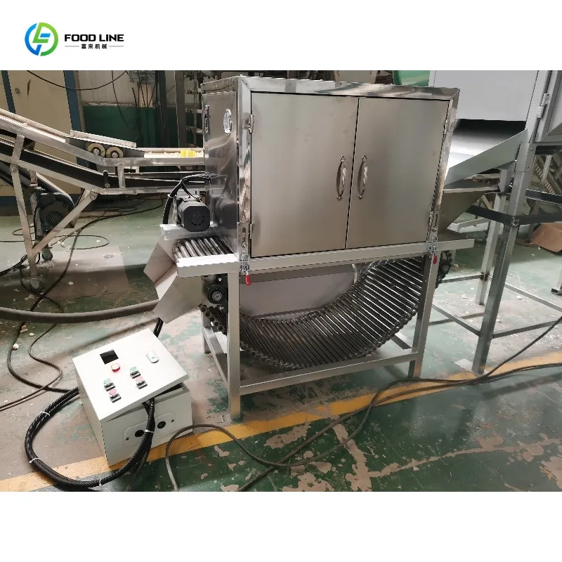 Customized Automatic Electric Garlic Peeling Machine Chain Type Conveyor Design High Efficiency Garlic Skin Remover Machine