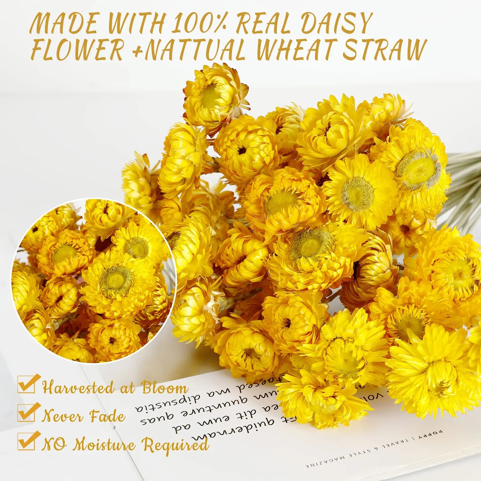 Daisy Dried Flower Bouquet 100%Natural Chrysanthemum Dry Flower for  Wedding Centerpieces Home Decor DIY Bridal Bouquet Material