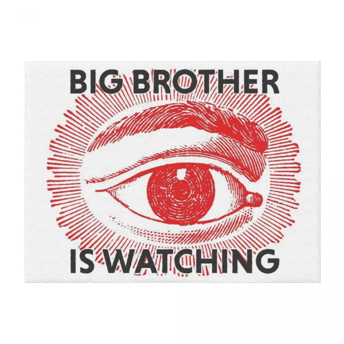 

Big brother is watching Throw Blanket Blankets Sofas Of Decoration Flannels decorative Baby Blankets