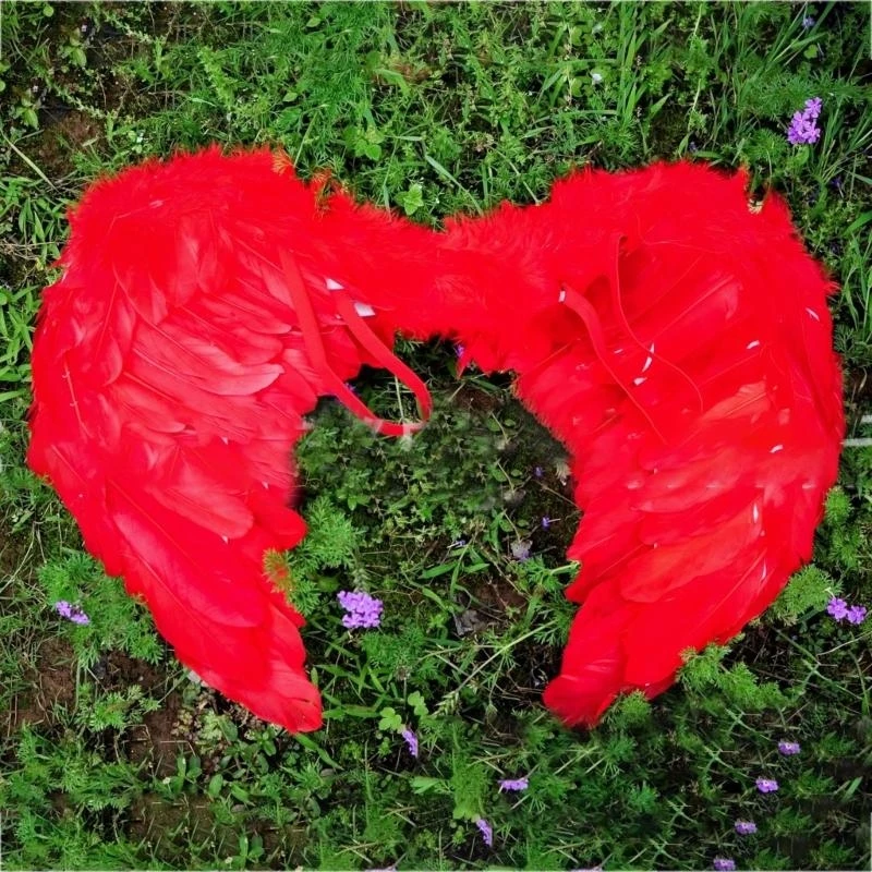 

5asd Kids Angel Wings Props Gift for Boys Girls Angel Dress Up Costume Props Halloween Role for Play Decorative Wings Party F