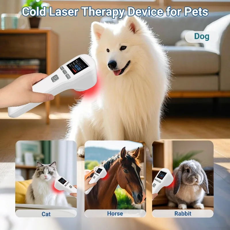 GOVW Red Light Cold LLLT Laser Therapy Device 650nm 808nm Class IV Professional NIR for Sprain Wound Injuries Healing Home Use