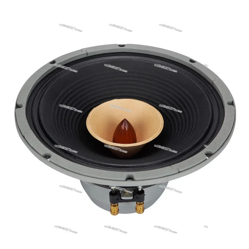 

A pair of 12-inch full-range speakers, advanced HIFI home use