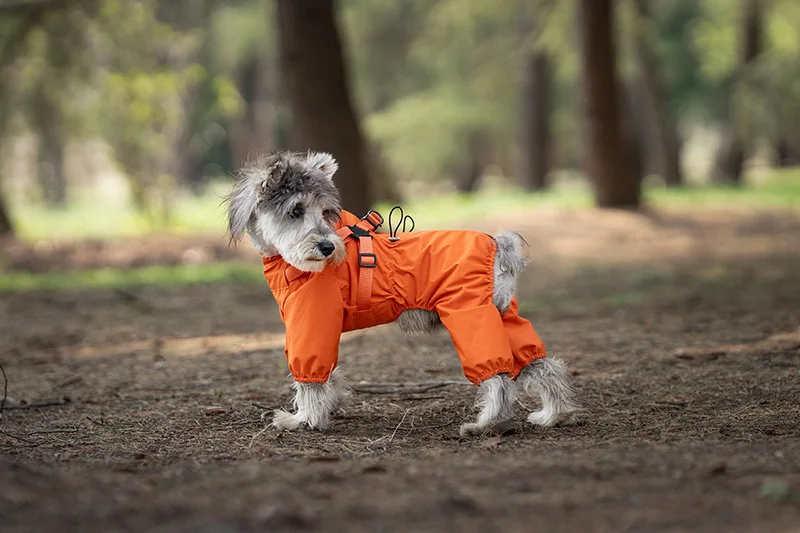 Hunderegenmantel mit Geschirr, wasserdichte Haustier-Regenjacke für kleine Hunde, verstellbarer, reflektierender Hunde-Regenoverall mit 4 Beinen – Detail 15