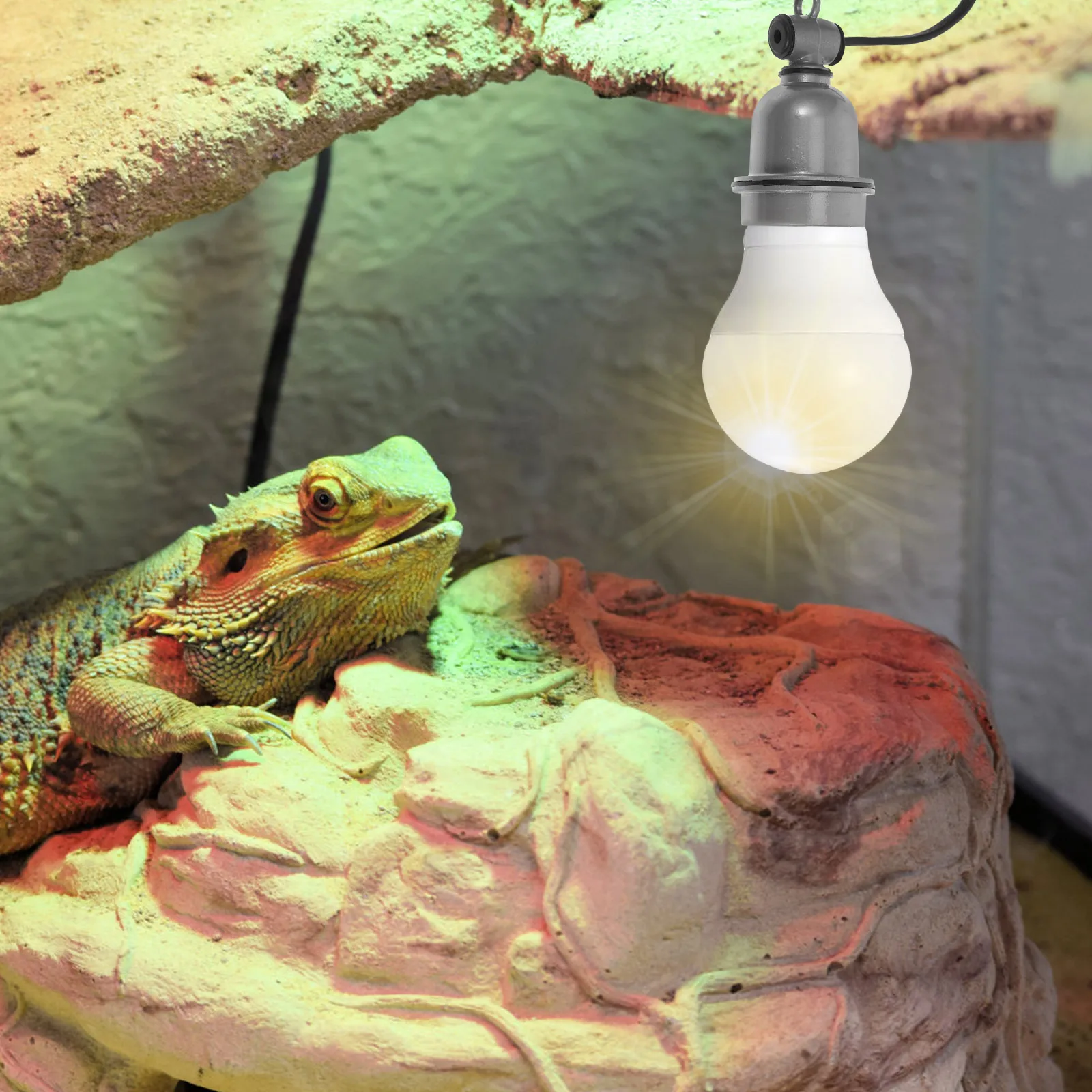 

E27 Ceramic Heat Lamp Holder Reptile Light Fixture Hanging Socket Adapter Switch Eu Plug Heating Lamp Socket Reptile Heat Cable