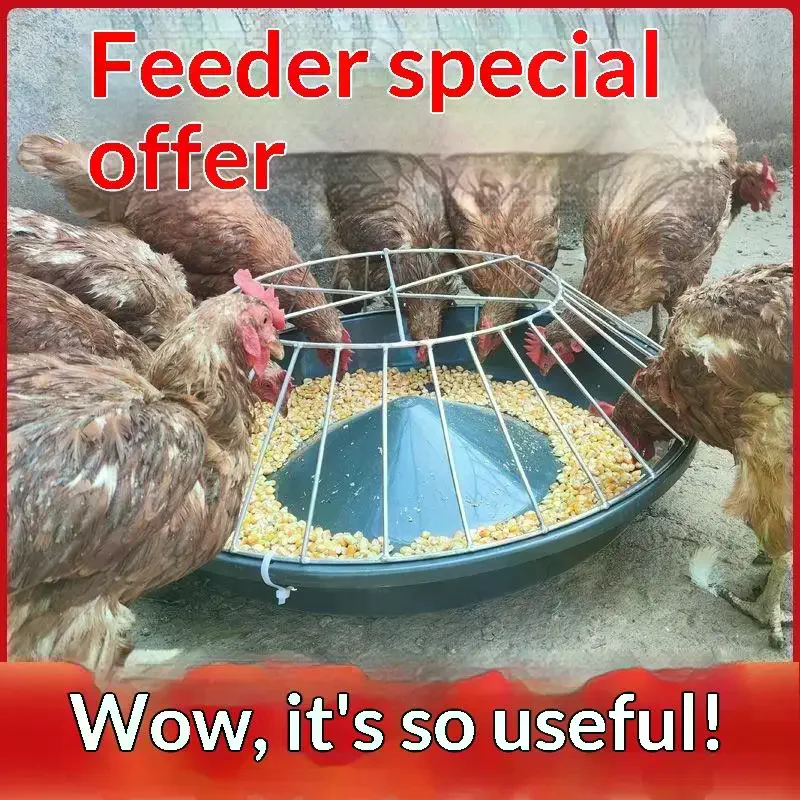 No Waste Large Circular Chicken Feeder 12/14/16 Holes Food Saving for Farm Backyard Poultry Coop Use