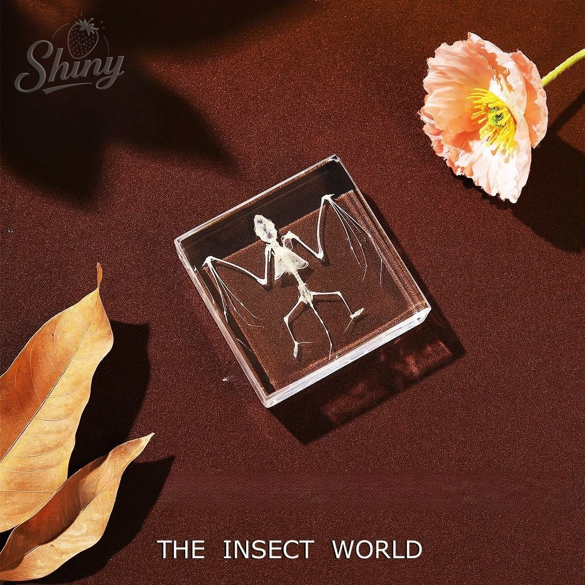 

Authentic Bat Taxidermy Real Animal Specimen In Resin for Science Learning & Oddities Fans