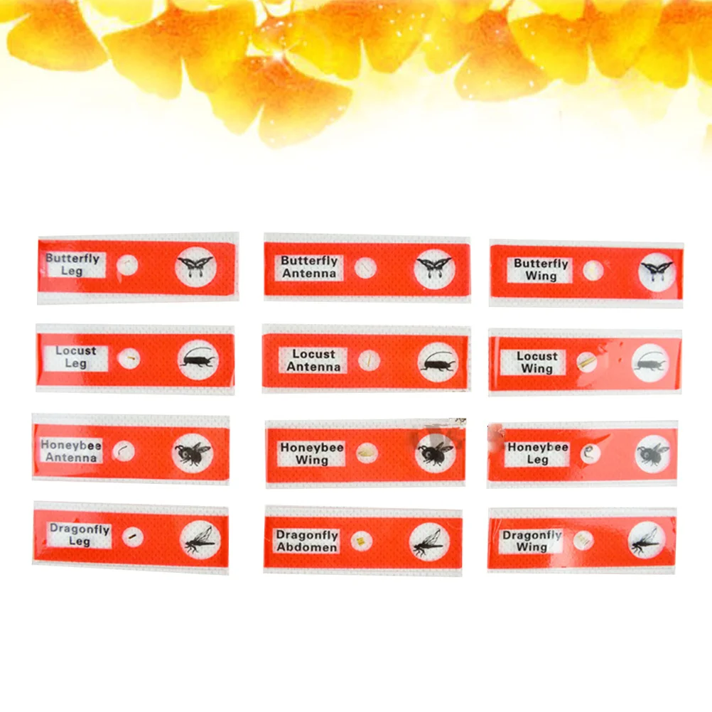 12pcs Microscope Slides 'S Plastic Biological Specimen Set Science Learning Samples For Red Color Easy
