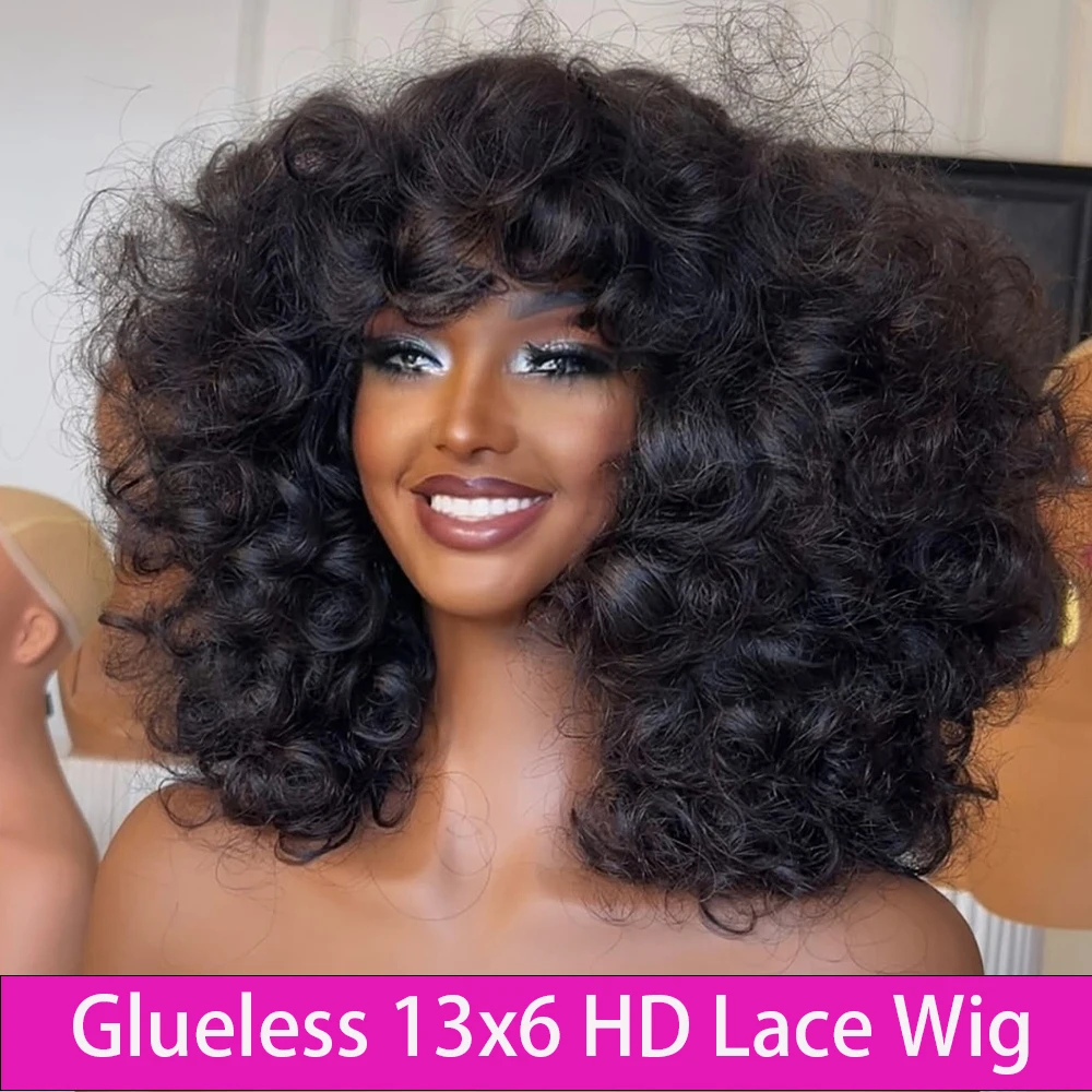 Afro Bouncy Curly Lace Front Wig: Compare Prices at DealCluster