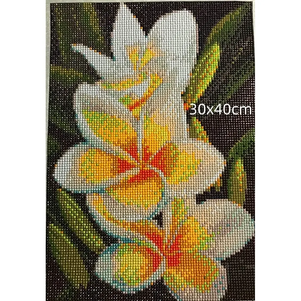 Orange Frangipani Plumerias Floral , DIY 5D Diamond Painting Kits for Adults , Tropical Hawaiian Flower Decor , Kitchen Art