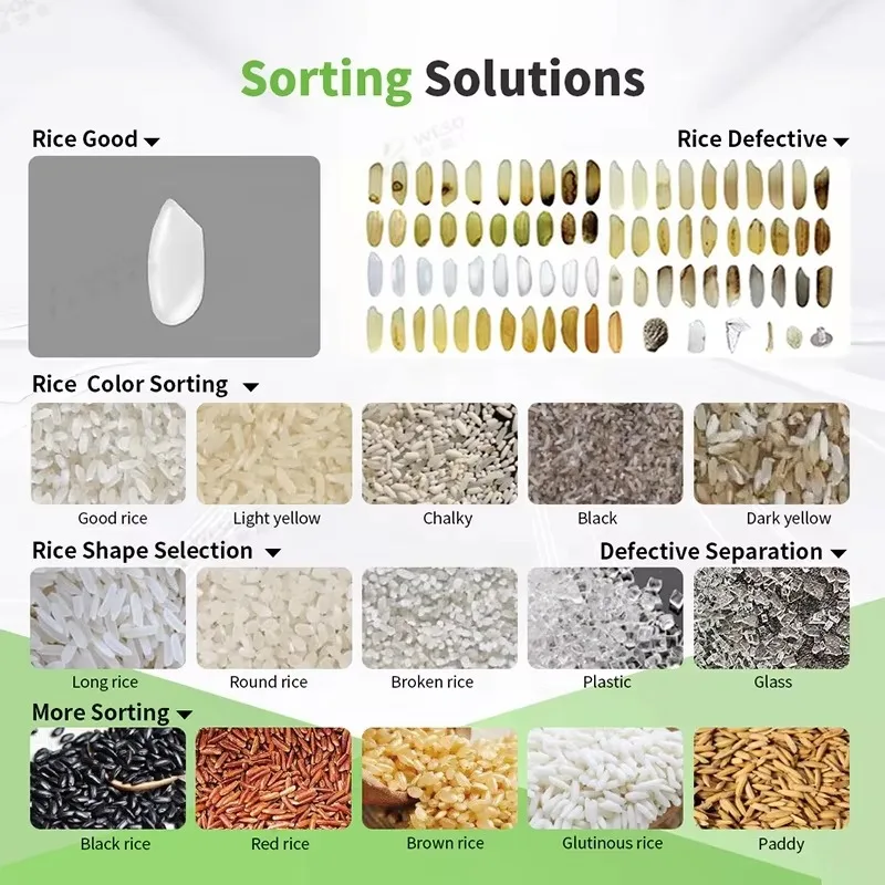Customize High Precision AI Rice Color Shape Sorter-All-in-One Multi-Color Sorting 99.99% Accuracy APP Remote Control