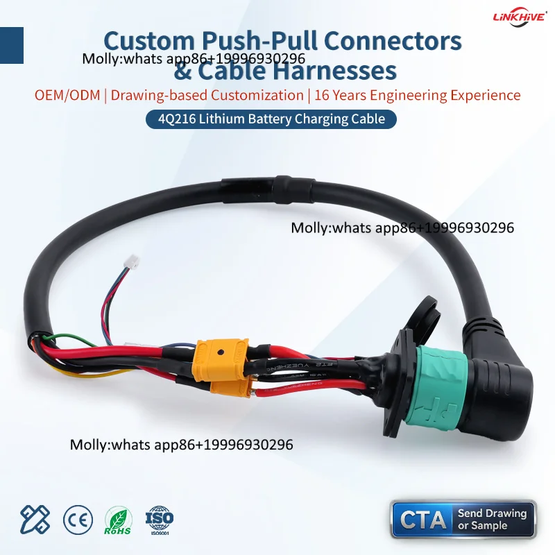 Customizable IP68 Waterproof 4Q216 Circular Bayonet Locking Aviation Device Medical Cable Harness for Industrial Aviation Plug