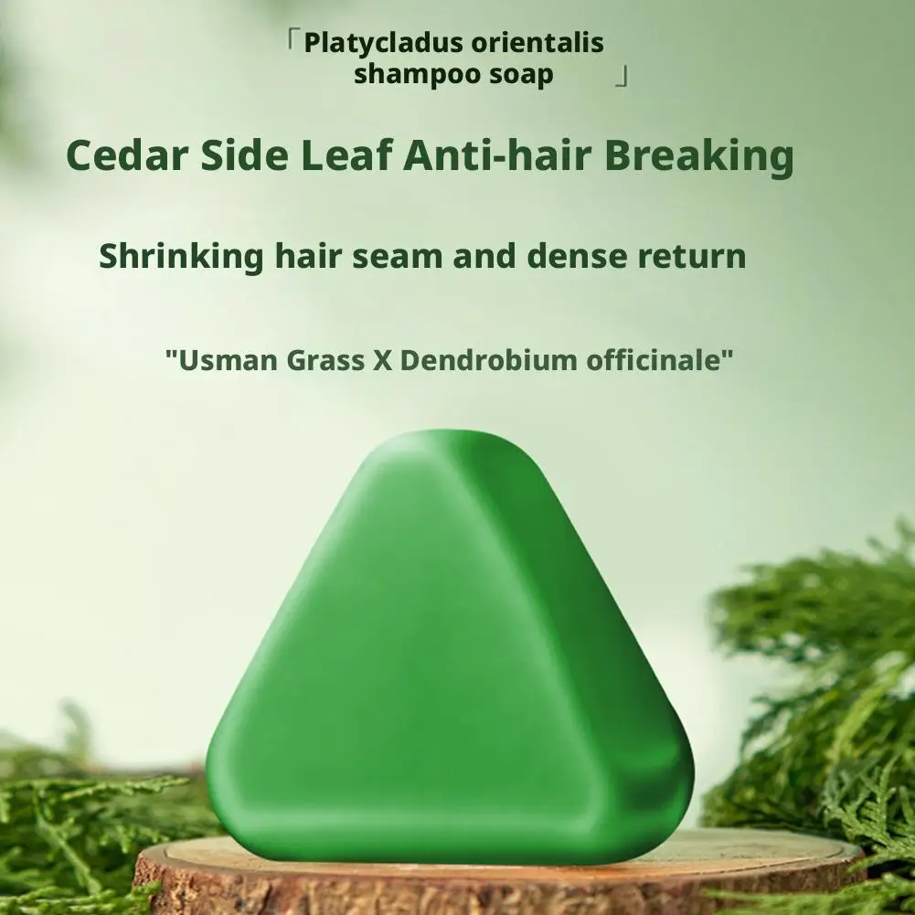 قالب شامبو Platycladus Orientalis صابون يدوي الصنع للتحكم في الزيت وإزالة الحطام ويمنع فصل العناية بالشعر C8U8 #5
