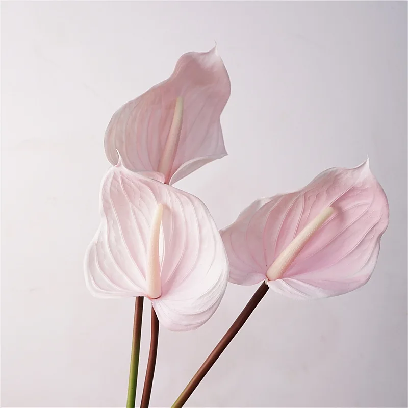5Pc Artificial Feel Latex PVC Anthurium Flower Calla Lily for Wedding Background Flower Arrangement Home Party Event Decor Flore