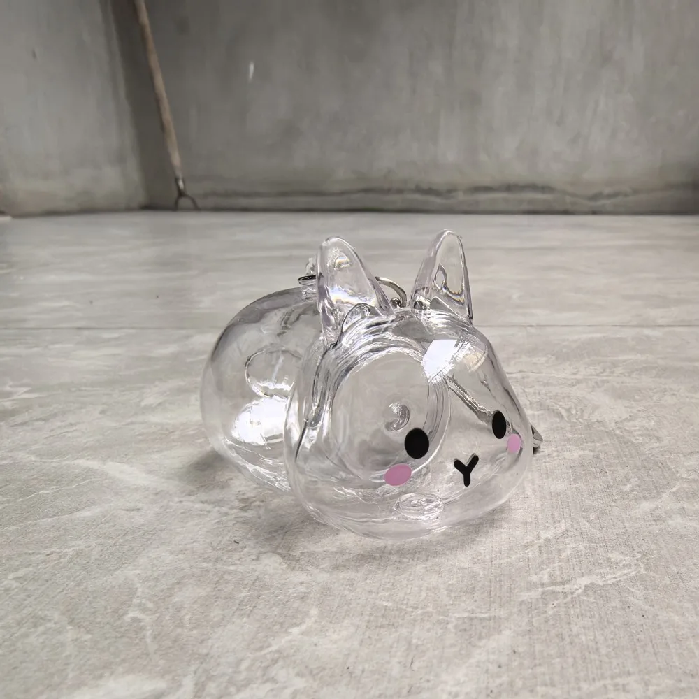 Transparent Pet Hair Storage Keychain Keyrings Memorial Organizer Pendant Rabbit Hair Collector Hair Container Animal