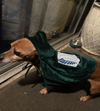 

Attack Titan Pet Horn Anime Shingeki No Kyojin Investigation Dog Cat Cloak Cosplay Costume Props Gift Halloween anime cosplay