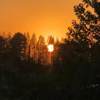 Tuya Bluetooth Waterproof Smart Padlock Touch Screen Fingerprint and Password Locks Electronic Lock Door Bag Luggage Padlock