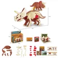 Triceratops