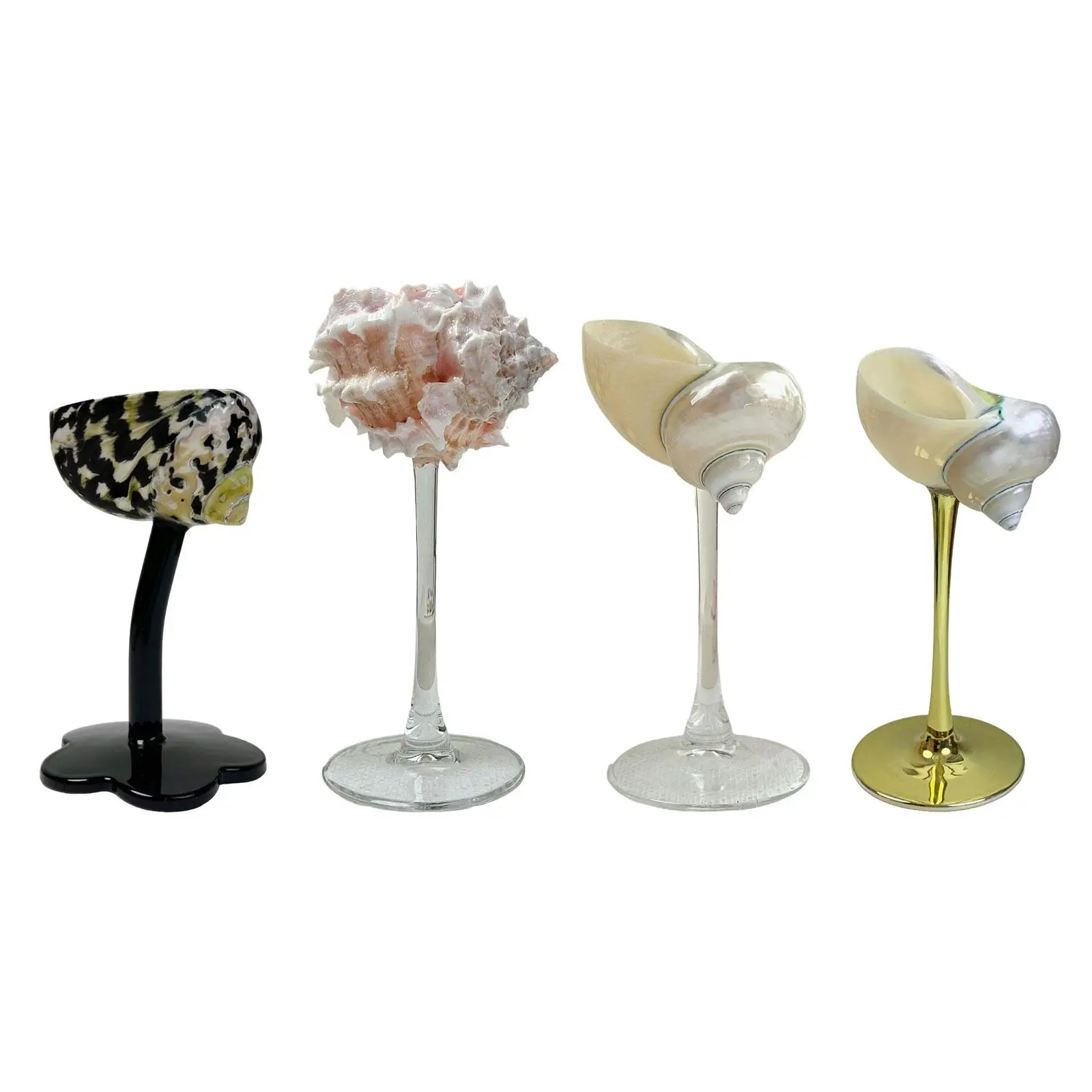 Conch Shell Goblet for Champagne, Unique Drinkware for Celebrations