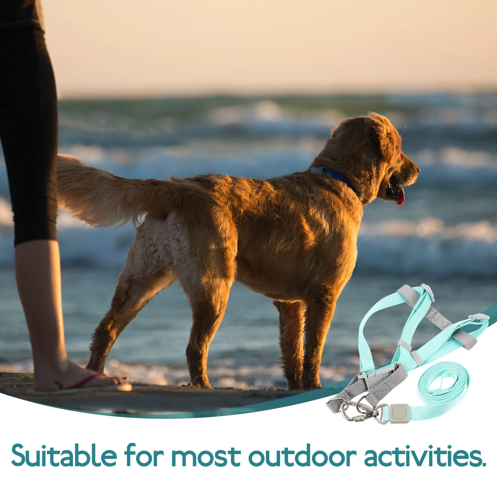 

1Set Dog Harness and Leash Adjustable Lightweight Wear Resistant Polyester for Puppy Walking Leash and Harness Escape Proof