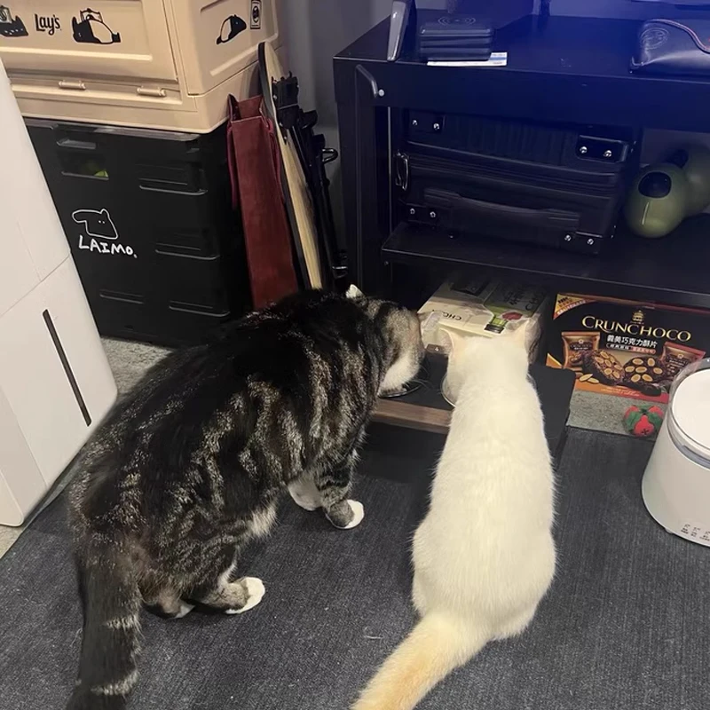 التخييم في الهواء الطلق الحيوانات الأليفة التخييم نمط المعدات طاولة قابلة للطي الأمريكية الرجعية خشب متين وعاء طعام القط رف التخييم في الهواء الطلق