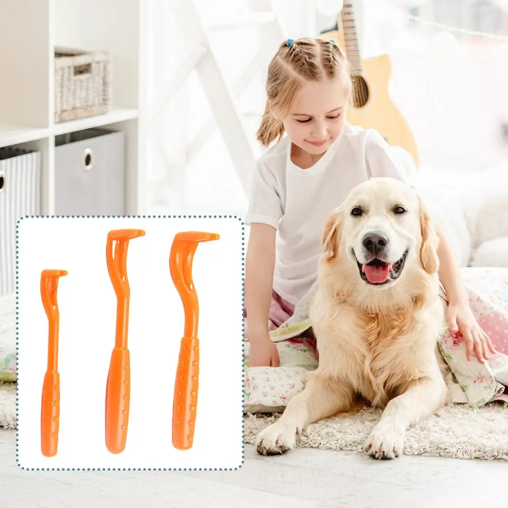 3Pcs Pet Flea Remover Beauty Insect Clamps Remove Lice Ticks Worms from Cats & Dogs Cleaning Tools  Flea Extractor Pet Supplies