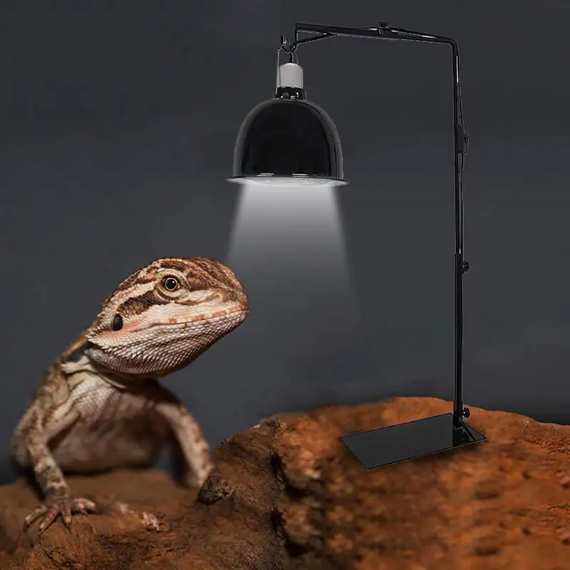 Reptile Lamp Stand Heating Lamp Holder Adjustable Telescopic Metal Floor Lamp Bracket For Succulent Tortoise Turtle