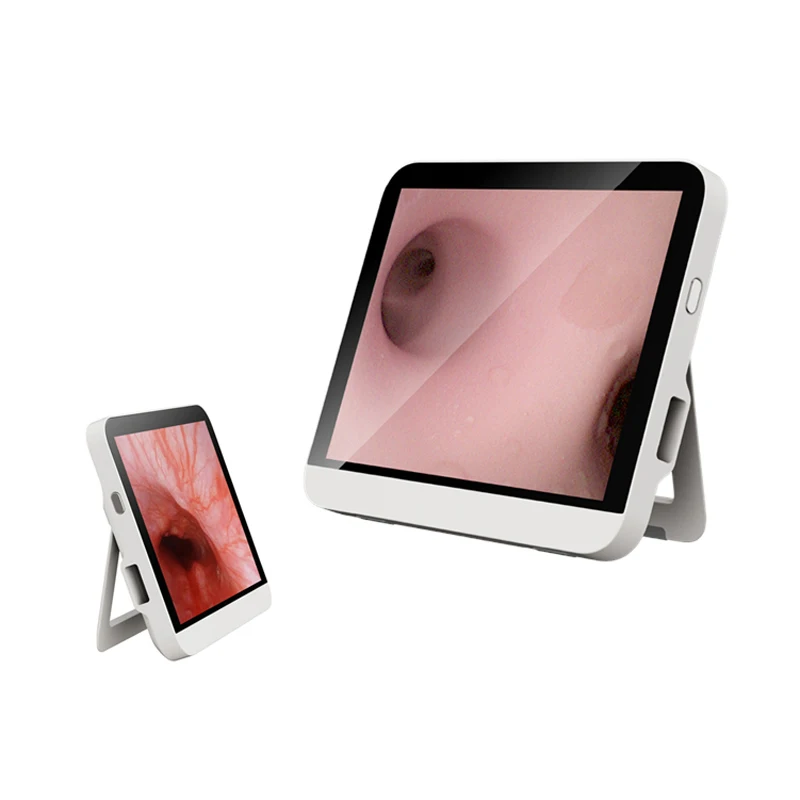 Geyi Single Use Digital Flexible Urology Ureteroscope