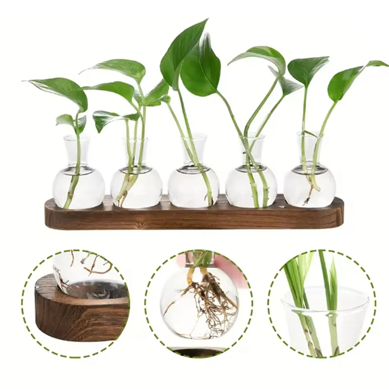 

-A95Z Plant Terrarium Glass Vase Modern Transparent With Wooden Tray, Indoor Desktop Decor