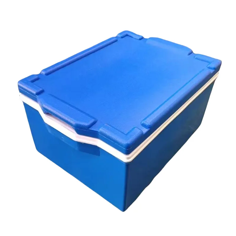 Eco-friendly Reusable Insulated Sushi Box Holds 5 Trays Blue White High Density PP Material