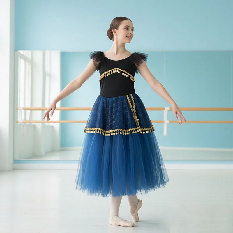 

Professional Romantic Child Ballet Tutu Dress Dance Clothes Swan Lake Ballerina Dress Modern Dance Ballet Dress For Kids Girls