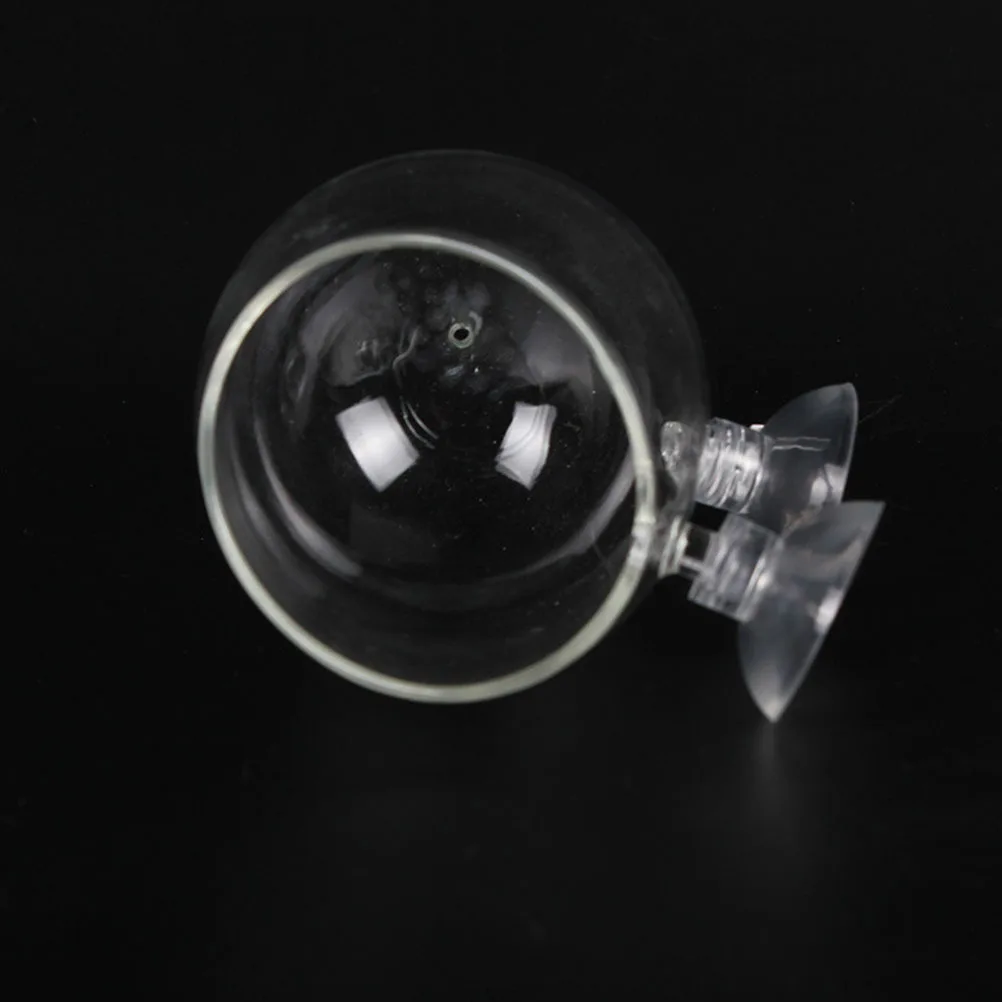 

2Pcs Sturdy Glass Water Grass Landscape Cup Adds Natural Feeling to Aquariums Grass Basin Aquarium Plant Holder