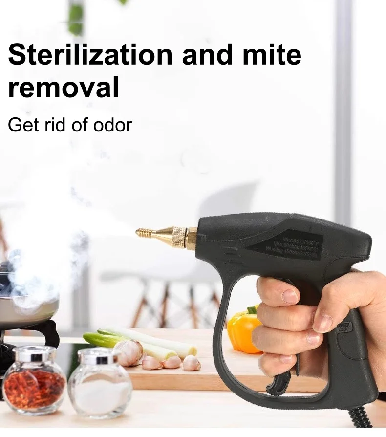110 V/220 V tragbarer Hochtemperatur-Dampfreiniger für den Heimgebrauch – perfekt für die Küchenreinigung im grenzüberschreitenden E-Commerce 2600 W – Detail 1